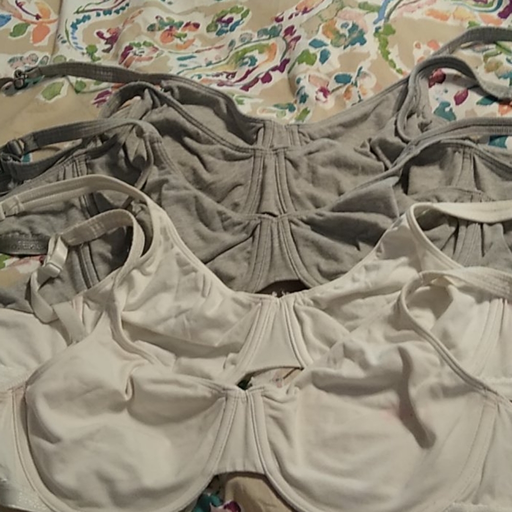 Five 38C unlined cotton underwires